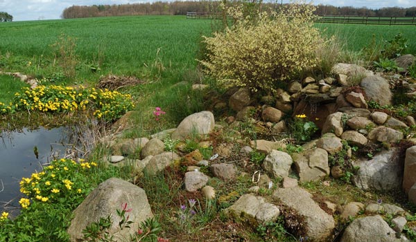 Steingarten älter